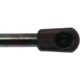 Purchase Top-Quality Lift Support by STRONG ARM - 6381 pa8
