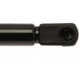 Purchase Top-Quality Lift Support by STRONG ARM - 6405 pa3