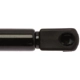 Purchase Top-Quality Lift Support by STRONG ARM - 6405 pa7
