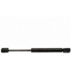 Purchase Top-Quality Lift Support by STRONG ARM - 6410 pa9