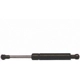 Purchase Top-Quality Lift Support by STRONG ARM - 6415 pa5