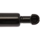 Purchase Top-Quality Lift Support by STRONG ARM - 6423 pa7