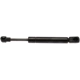 Purchase Top-Quality STRONG ARM - 6425 - Lift Support pa1