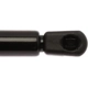 Purchase Top-Quality Lift Support by STRONG ARM - 6428 pa8