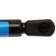 Purchase Top-Quality Lift Support by STRONG ARM - 6429 pa8