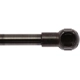 Purchase Top-Quality Lift Support by STRONG ARM - 6430 pa8
