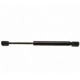 Purchase Top-Quality Lift Support by STRONG ARM - 6436 pa1