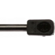 Purchase Top-Quality Lift Support by STRONG ARM - 6436 pa2