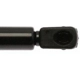 Purchase Top-Quality Lift Support by STRONG ARM - 6436 pa3