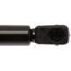 Purchase Top-Quality Lift Support by STRONG ARM - 6436 pa6