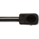 Purchase Top-Quality Lift Support by STRONG ARM - 6436 pa7