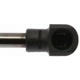 Purchase Top-Quality Lift Support by STRONG ARM - 6437 pa7