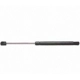 Purchase Top-Quality Lift Support by STRONG ARM - 6439 pa6