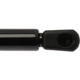 Purchase Top-Quality Lift Support by STRONG ARM - 6444 pa8
