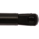 Purchase Top-Quality Lift Support by STRONG ARM - 6457 pa4