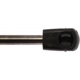 Purchase Top-Quality Lift Support by STRONG ARM - 6457 pa5