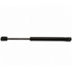 Purchase Top-Quality Lift Support by STRONG ARM - 6457 pa6