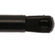Purchase Top-Quality Lift Support by STRONG ARM - 6457 pa7