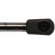 Purchase Top-Quality Lift Support by STRONG ARM - 6463 pa2
