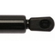 Purchase Top-Quality Lift Support by STRONG ARM - 6463 pa3