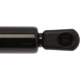 Purchase Top-Quality Lift Support by STRONG ARM - 6463 pa7