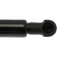 Purchase Top-Quality Lift Support by STRONG ARM - 6466 pa8
