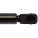 Purchase Top-Quality STRONG ARM - 6471 - Lift Support pa6