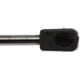 Purchase Top-Quality STRONG ARM - 6471 - Lift Support pa7