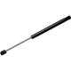 Purchase Top-Quality STRONG ARM - 6471 - Lift Support pa9