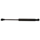 Purchase Top-Quality Lift Support by STRONG ARM - 6472 pa3