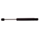 Purchase Top-Quality Lift Support by STRONG ARM - 6478 pa1
