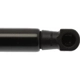 Purchase Top-Quality STRONG ARM - 6480 - Lift Support pa8