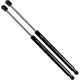 Purchase Top-Quality STRONG ARM - 6480 - Lift Support pa9