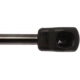 Purchase Top-Quality Lift Support by STRONG ARM - 6510 pa8