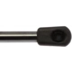 Purchase Top-Quality Lift Support by STRONG ARM - 6513 pa8