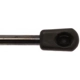 Purchase Top-Quality Lift Support by STRONG ARM - 6518 pa7