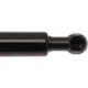 Purchase Top-Quality Lift Support by STRONG ARM - 6518 pa8