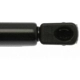 Purchase Top-Quality Lift Support by STRONG ARM - 6519 pa11