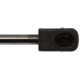 Purchase Top-Quality Lift Support by STRONG ARM - 6519 pa8