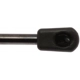 Purchase Top-Quality Lift Support by STRONG ARM - 6559 pa8