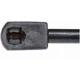 Purchase Top-Quality Lift Support by STRONG ARM - 6560 pa6