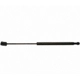 Purchase Top-Quality Lift Support by STRONG ARM - 6603 pa1
