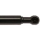 Purchase Top-Quality Lift Support by STRONG ARM - 6603 pa3