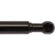 Purchase Top-Quality Lift Support by STRONG ARM - 6603 pa7