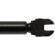 Purchase Top-Quality Lift Support by STRONG ARM - 6607 pa7