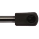 Purchase Top-Quality Lift Support by STRONG ARM - 6609 pa7