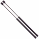 Purchase Top-Quality Lift Support by STRONG ARM - 6619 pa6