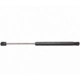 Purchase Top-Quality Lift Support by STRONG ARM - 6620 pa1