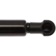 Purchase Top-Quality STRONG ARM - 6640 - Lift Support pa6
