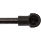 Purchase Top-Quality STRONG ARM - 6640 - Lift Support pa9